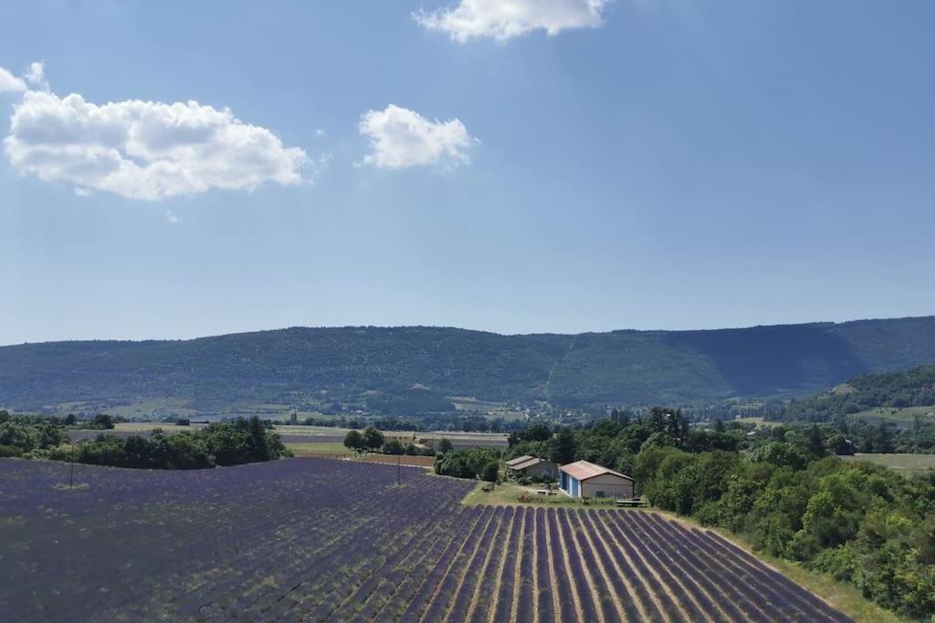 La Petite Reine Du Ventoux Villa Sault-de-Vaucluse Ngoại thất bức ảnh